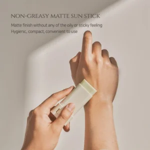 Beauty of Joseon Matte Sun Stick Sunscreen With Mugwort + Camelia SPF 50+ & PA++++ 18g - Image 4