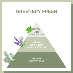 Amos 02 The Green Tea Volume Mist - 140ml - Image 3