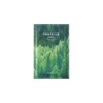 Madagascar Centella Tea Trica BHA Foam 125ml